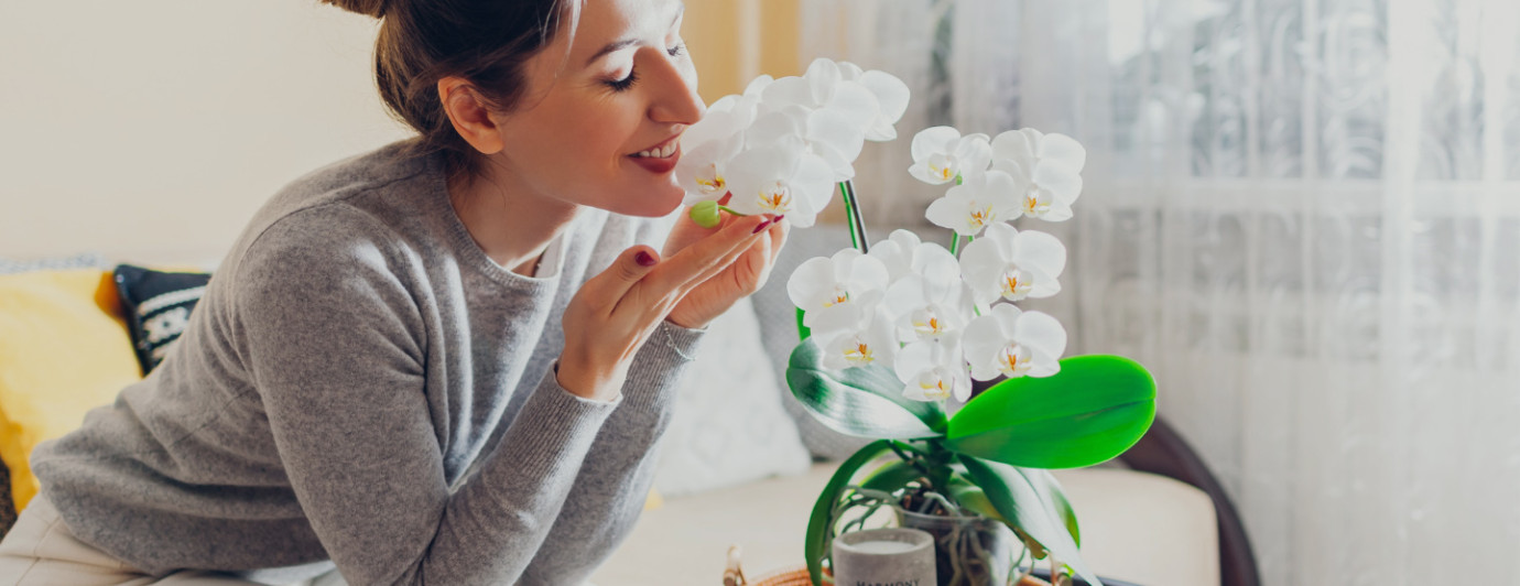 111 / 5 000 Kobieta wącha białą kwitnącą orchideę na stoliku do kawy w domu.