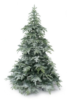 Christmas tree, talcated spruce FROSTINE, height 210cm