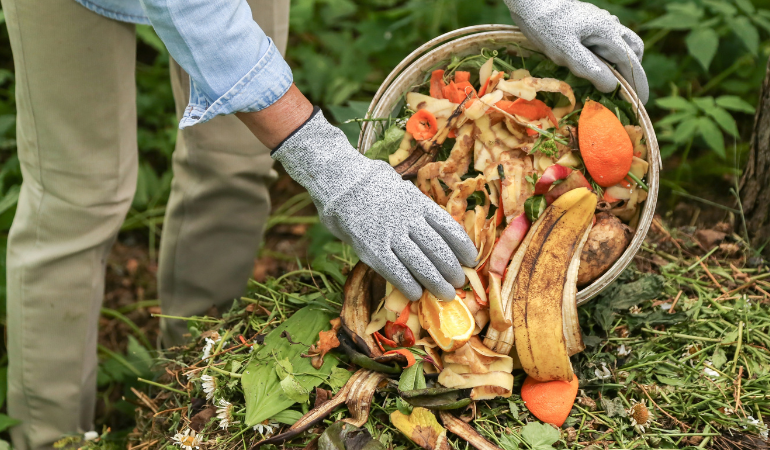 ogrodnik wysypujący odpady bioorganiczne do kompostownika