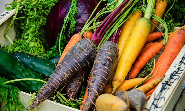 Różne kolorowe marchewki, czerwona kapusta i ogórki w drewnianym pudełku. Świeże produkty organiczne