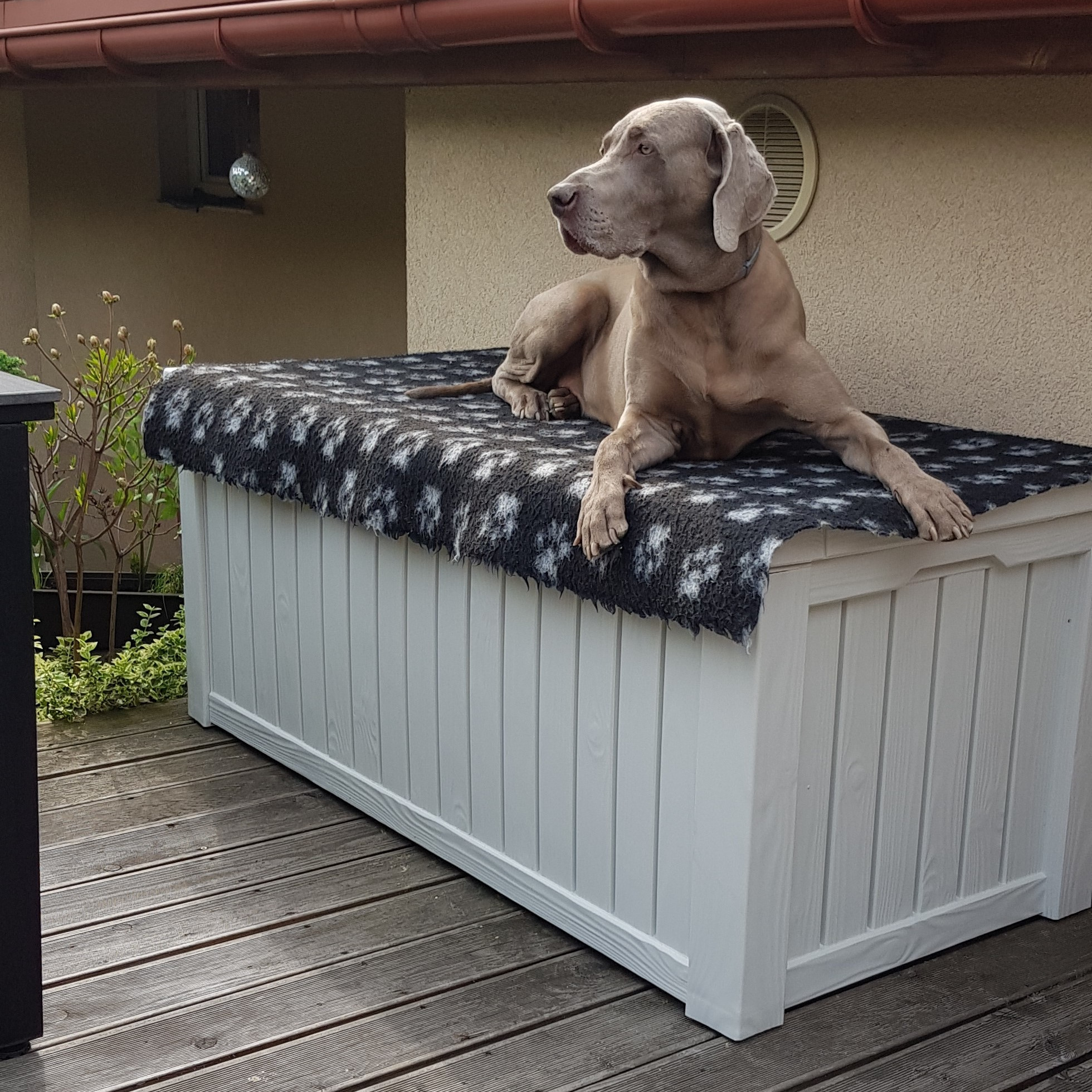 Skrzynia na taras Keter ROCKWOOD BOX 570L Creme zdjęcie realizacji 1
