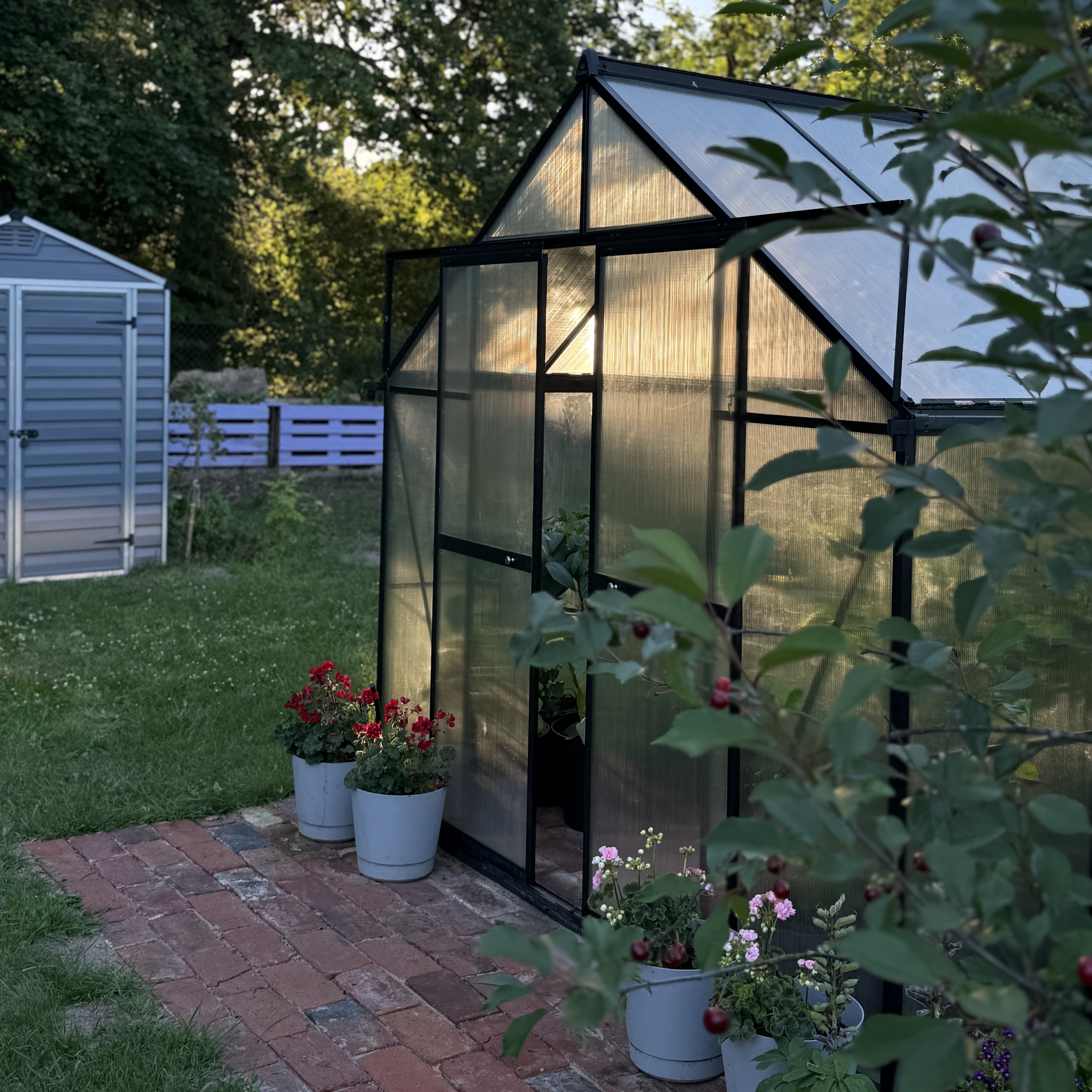 Szklarnia ogrodowa Slide-In NEW 244x490cm Black - Cultivo zdjęcie realizacji 7